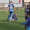 liekert_3.jpg