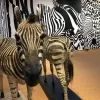 camouflage_felixart.jpg