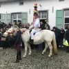 pauwelviering.jpg
