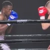 kickboks_1.jpg