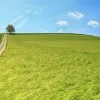 landschap.jpg