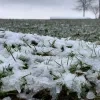 sneeuw.jpg