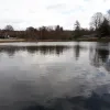 vijversessenbeek.jpg