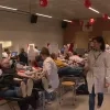 bloedgeven_bever_1.png