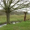 prinsenveld_hofstade.jpg