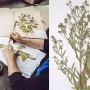 herbarium_plantentuin.jpg