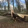 boomhanssenspark.jpg