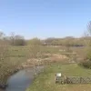 natuur.png