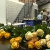 bloemenkwekerij_opwijk.png