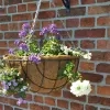 hanging_basket.jpg