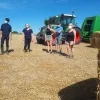 landbouw_zomerstage_dalle.jpg
