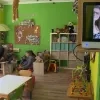 kinderdagverblijven_corona_1.png