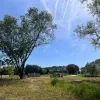 Wandelen in het groen in Zaventem