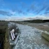 beigemveld_-_januari_2021_-_3_of_6.jpeg