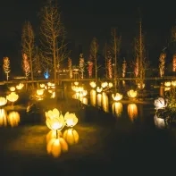 Lichtfestival WinterFloridylle
