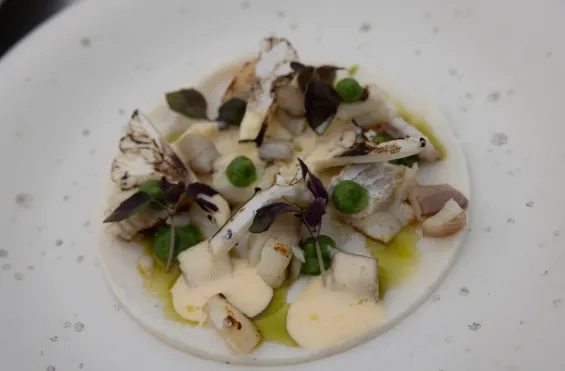 Hoofdgerecht: kabeljauw, crème van bloemkool & broccoli,
